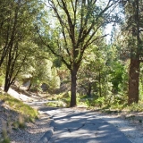 Nevada County Government Center Trails